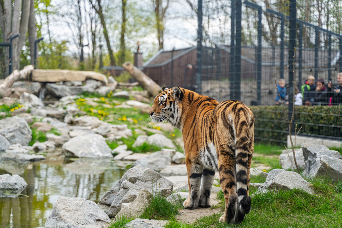 Ausflugstipp Straubing mit Tiergarten Ausflugstipp Straubing mit Tiergarten